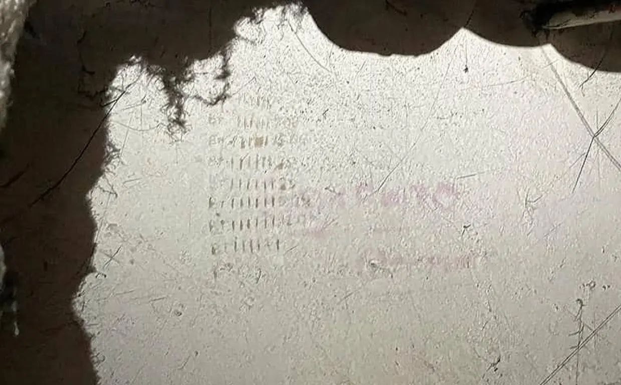 Миниатюра 4