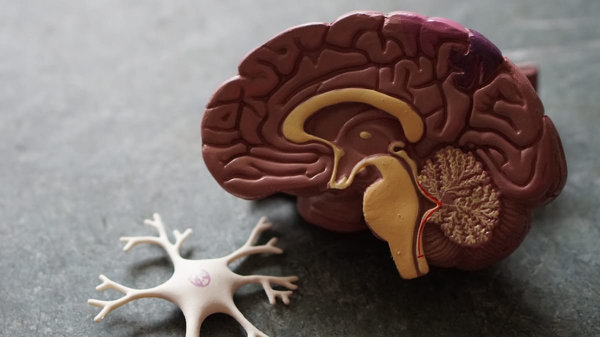 Лекарства от СПИДа помогают при Альцгеймере, показало новое исследование