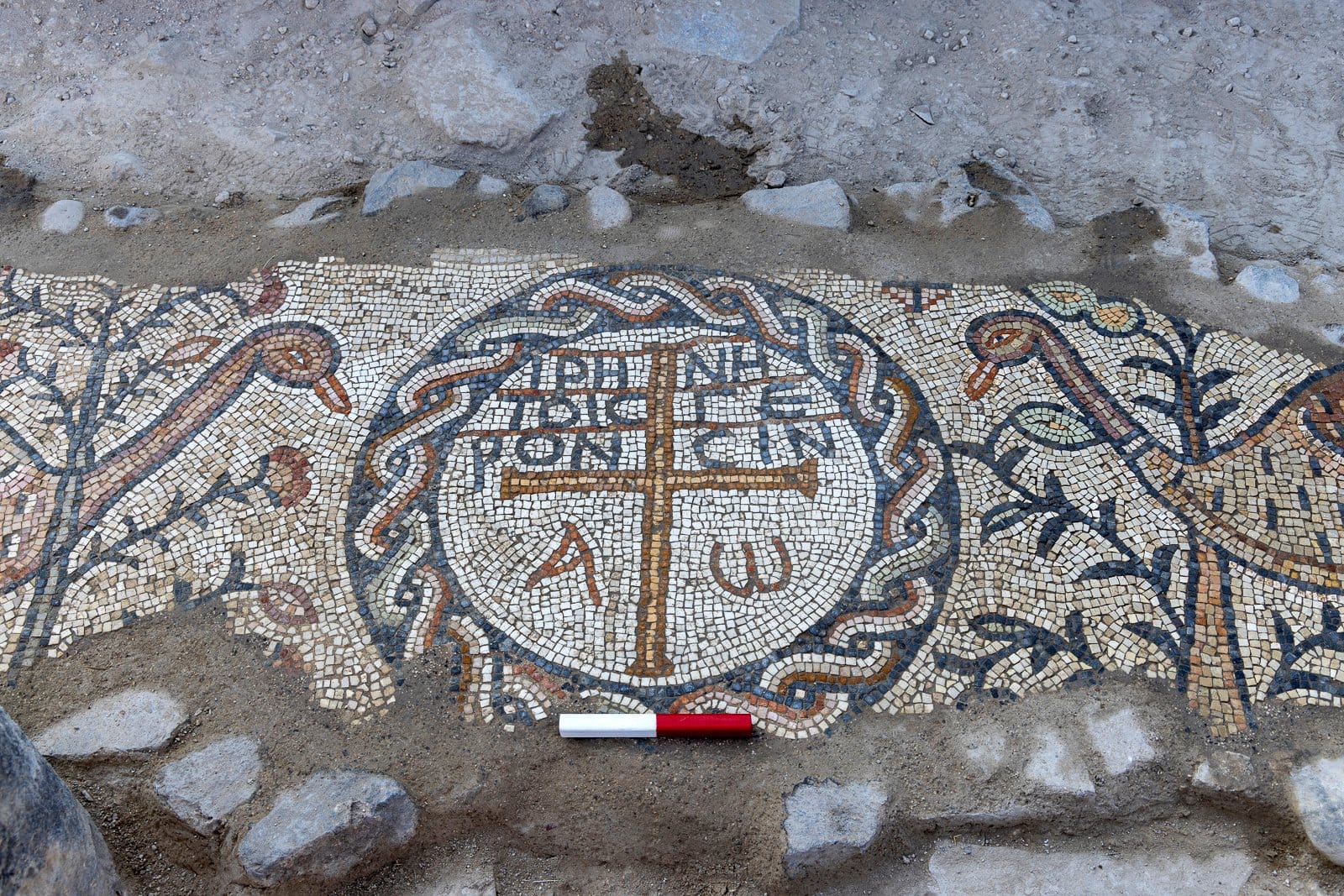 В Израиле обнаружили мозаику, которая может свидетельствовать о существовании самого древнего дома престарелых