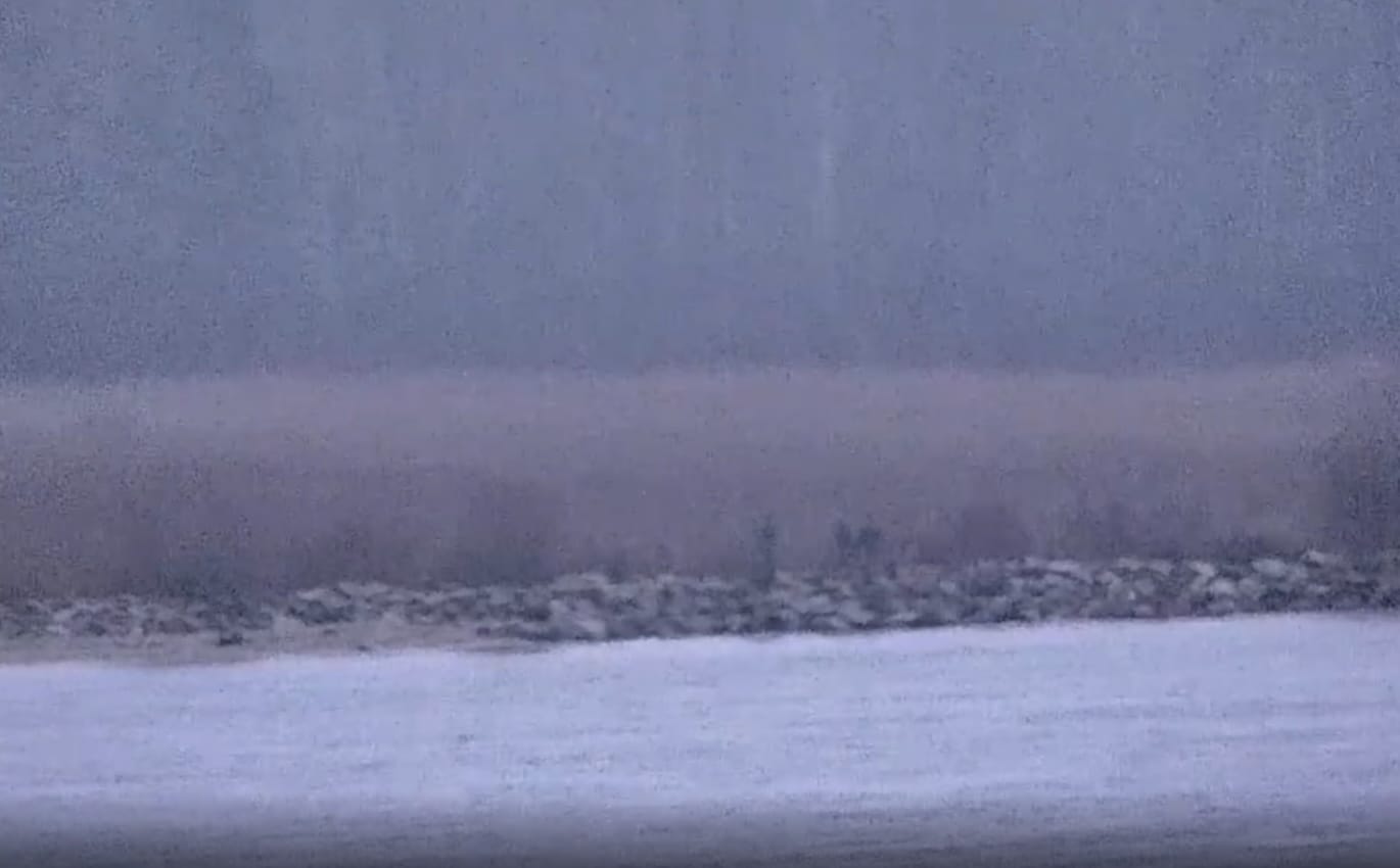 Трое российских пограничников пересекли границу Эстонии у мыса Васкнарва и находились на территории страны в течение 20 минут