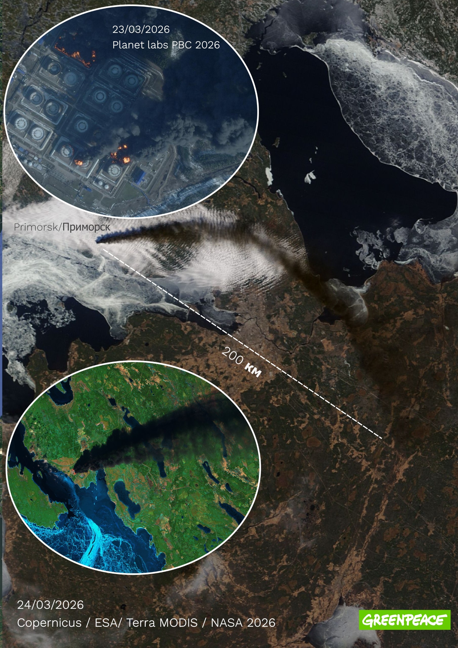 Дым от пожара в порту Приморска на спутниковом снимке от 24 марта 2026 года