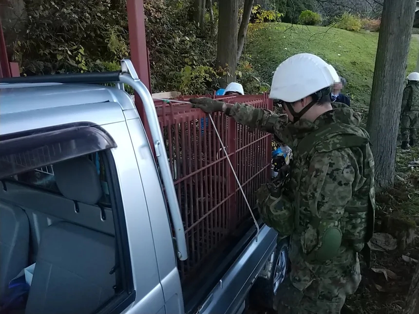 Для отлова медведей используют военных